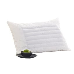 愉悅家紡蕎麥保健枕 正反兩用，健康睡眠新體驗